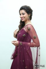 Hamsa Nandini at Bengal Tiger Movie Audio Launch